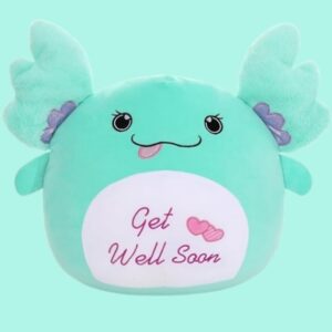 Get Well Soon Plush Pillow