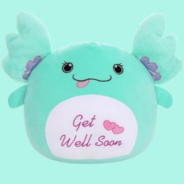 Get Well Soon Plush Pillow
