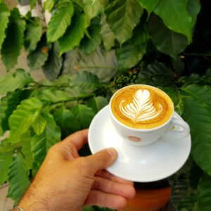 Hazelnut Flavored Coffee