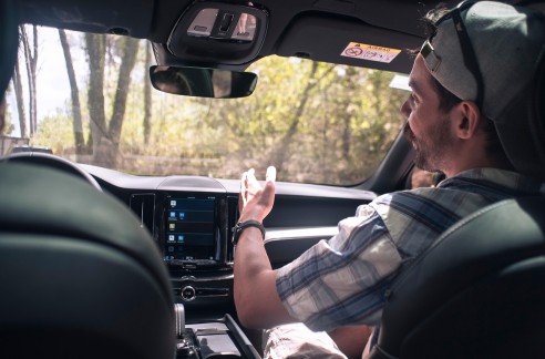 Showcasing Beautiful Websites with WordPress Themes