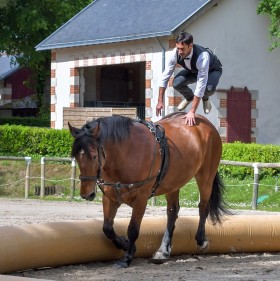 Advanced Riding Lessons