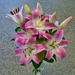Chrysanthemums bouquet
