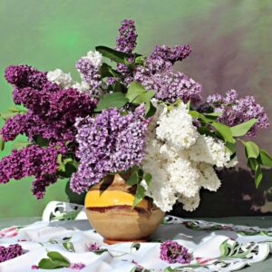 Lilacs