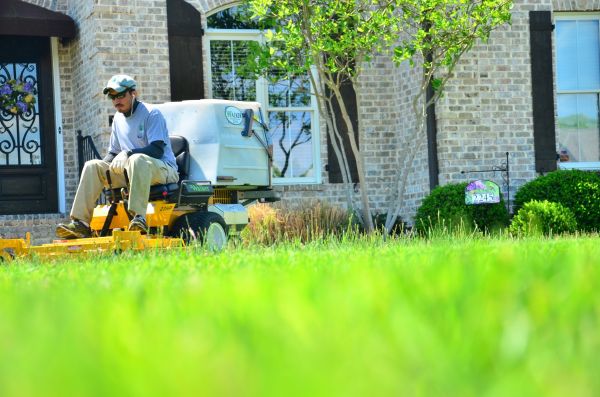 Lawn Renovations