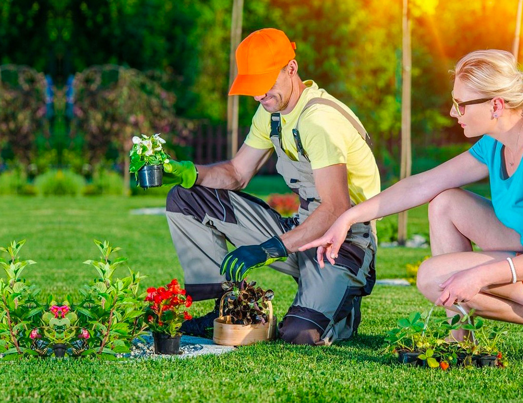 Service Residential & <span>Commercial</span> landscaping