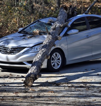 Auto Insurance