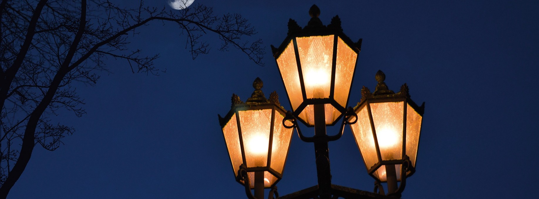 Unveiling Elegance in Every Light