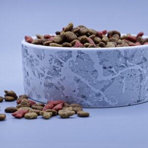 Frozen Blood Worm Fish food