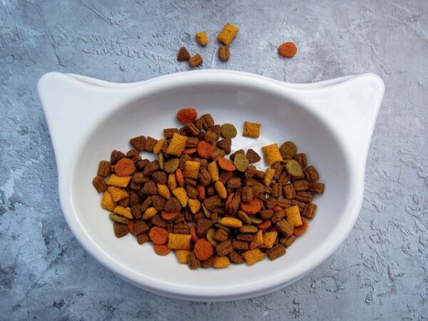 Fruit blend Bird Food