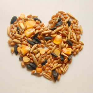 Mix Grain Bird food