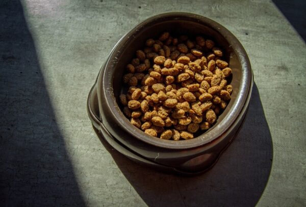 Low grain and pomegranate dry food