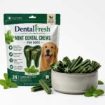 DentalFresh Mint Dental Chews for Dogs – 24 Count