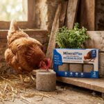 MineralPlus Calcium & Mineral Pecking Block – 3 Pack