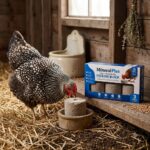 MineralPlus Calcium & Mineral Pecking Block – 3 Pack
