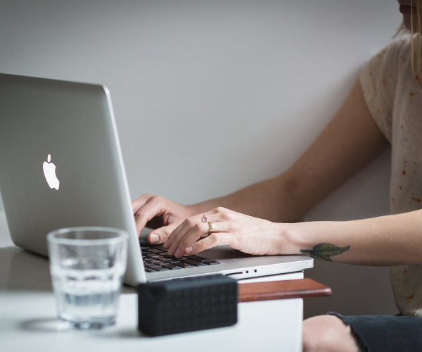 User Experience Considerations When Selecting a WordPress Theme