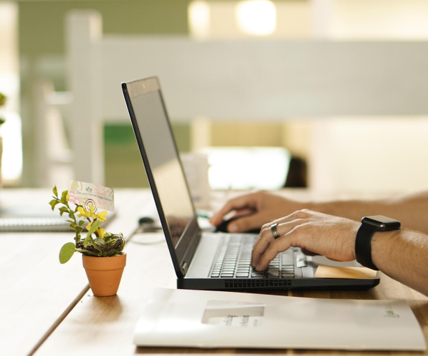 User Experience Considerations When Selecting a WordPress Theme