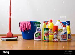 Cleaning and Household