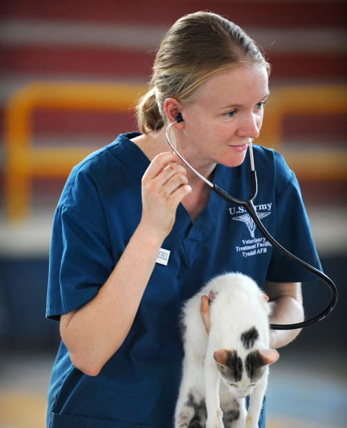 <span>Best Clinic</span>